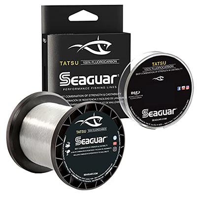 Seaguar Tatsu 100% Fluorocarbon Fishing Line (DSF) 200-Yards, 17-Pound,  Clear (17TS200) - Yahoo Shopping