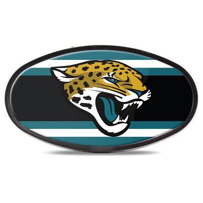 Carolina Panthers Chrome Color Hitch Cover