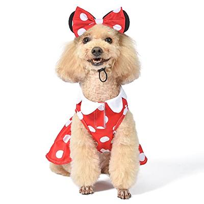 Disney for Pets Minnie Mouse Halloween Costume for Dogs - Small, Disney  Halloween Dog Costumes, Funny Pet Costumes