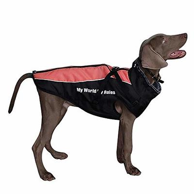 : NFL Dallas Cowboys Puffer Vest for Dogs & Cats, Size