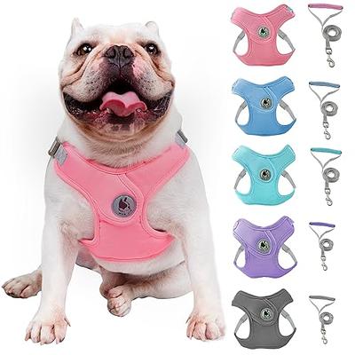 PUPTECK Adjustable Dog Harness Collar and Leash Set Step in No Pull Pet  Harness for Small Medium Dogs Puppy and Cats Outdoor Walking Running, Soft