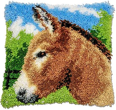 Kit Fai Da Te Creativo Adulti Cavallo Fai Da Te Latch Hook Kits，Animale 3D  Cuscino Materiali Pacchetto Latch Hook Ricamo Kit 17X17In B : :  Casa e cucina