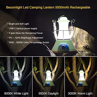 LED Camping Lantern Rechargeable 3000~8000K: Cute Retro Handheld Portable  Lanterns Outdoor, 5000mAh Battery Powered Dimmable Emergency Lamp for Home  Power Outages, Hurricane Lighting (Green) - Yahoo Shopping