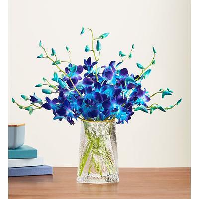 Hydrangea Blue Translucent Color Spray - LO Florist Supplies