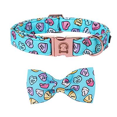  Elegant little tail Dog Collar, Floral Pattern Pet Collar  Durable Cute Dog Collars Summer Female Pet Gift Adjustable Dog Collar for  X-Small Dogs : Pet Supplies