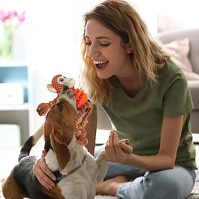 Chngeary Dog Toys for Small Medium Large Dogs, Squeaky Plush Dog Toys + Interactive  Dog Toys + Dog Rope Toys Multi Function Cute Monkey Puppy Toys for Pets -  Yahoo Shopping