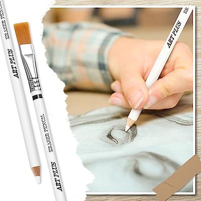 PANDAFLY Professional Drawing Sketching Pencil Set - 12 Pieces Art Drawing Graphite Pencils(14B - 2H) Ideal for Drawing Art Sketching Shading Artist P