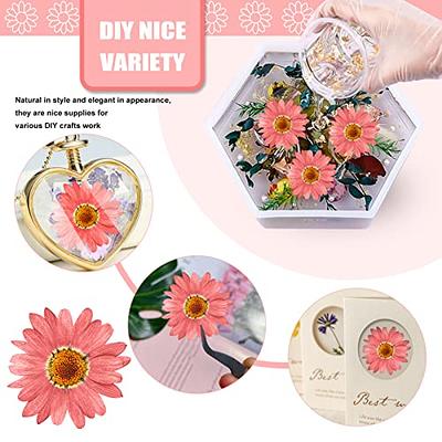 CyHiThai 60PCS Pink Dried Pressed Sunflowers for Crafts  Embellishments,1.2IN Natural Pressed Flowers Margarita Large Daisy for  Resin Jewelry DIY Phone Case Decor Candle Making Decoration - Yahoo Shopping