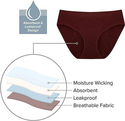 3 Pack EvaWear Teen's Women Period Panties Menstrual Heavy Flow Postpartum  Incontinence Underwear Leakproof - XL - Yahoo Shopping