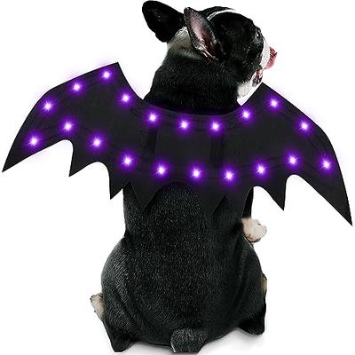 Hocus Pocus Tutu for Dogs and Cats (Size: XXLarge 19-20 Inch Waist)