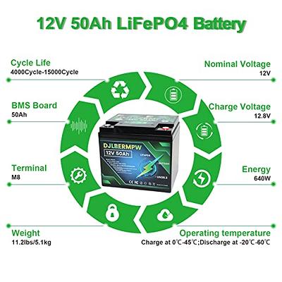 ECO-WORTHY 12V 100AH LiFePO4 Lithium Battery BMS 4000+ cycles For RV Solar  Panel