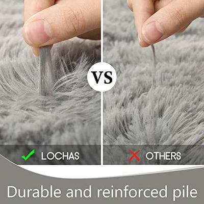 LOCHAS Ultra Soft Indoor Modern Area Rugs Fluffy Living Room