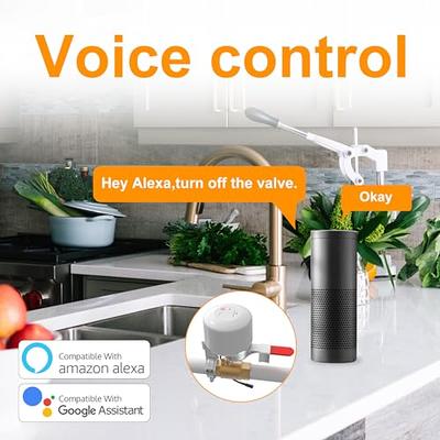 Smart Water Valve - Automatic Shut Off