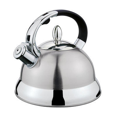 Bodum Bodum Bistro Gooseneck Stovetop Water Kettle, Wayfair