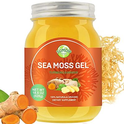 Sea Moss Gel, Organic Raw Flavored Irish Seamoss Gel Immune and Digestive  Support Vitamin Mineral Antioxidant Supplements, Original 18.5oz