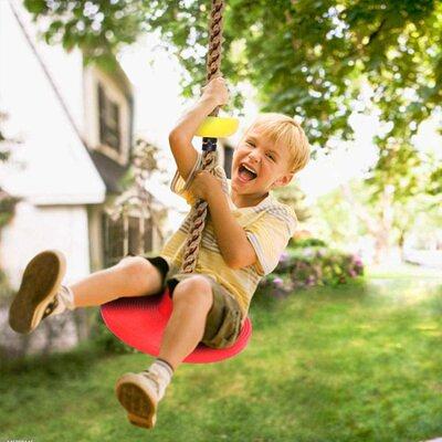Disc Swings Seat Swing Set Climbing Rope Tree Swing With Platform Red  (mounting Kits Included) - Yahoo Shopping