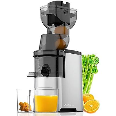 Juicer Machine 600W Juicer with 3 Inch Wide Mouth 2 Speed Setting,  Centrifugal Juicer for Fruit, Vegetables Juice Extractor Easy to Clean