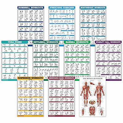 21-PACK] Laminated Large Workout Poster Set - Perfect Workout Posters for  Home Gym - Exercise Charts Incl. Dumbbell, Yoga Poses, Resistance Band,  Kettlebell, Stretching & More Fitness Gym Posters : : Sports