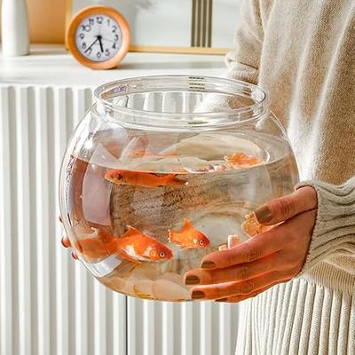  PONDON Betta Fish Tank, 2 Gallon Glass Aquarium, 3 in 1 Fish  Tank with Filter and Light, Desktop Small Fish Tank for Betta Fish, Shrimp,  Goldfish (Black) : Pet Supplies
