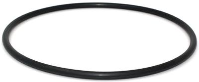 Sta-Rite Max-E-Pro/IntelliPro/Dyna-Pro Pump Lid O-Ring (#35505-1440)