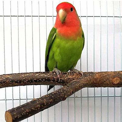 Natural Bird Perch Swing Wooden Bird Swing Toy for Parrots Bird Hanging Toy