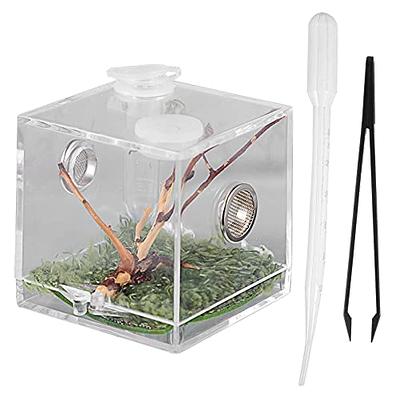 JOBEDE Jumping Spider Enclosure, Jumping Spider Habitat with Dropper Tongs  Acrylic Reptile Breeding Box for Tarantula Scorpion Sling Isopods