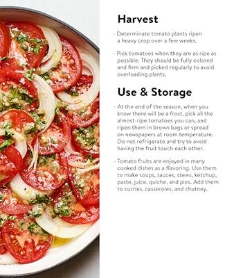 Slicer Tomatoes - Burpee