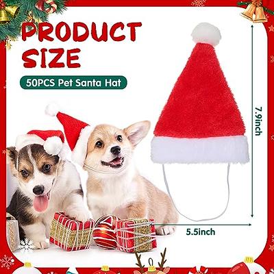 Mini Soft Corgi in Santa Suit