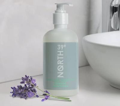 39° North Body Lotion  Bring Home the Courtyard Bath Experience