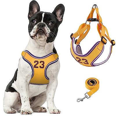 BEAUTYZOO No Pull Small Dog Harness and Leash Set, No Chock Puppy Step in  Vest Harness Nylon Lightweight Neck&Chest Adjustable for Dogs Girls and  Boy