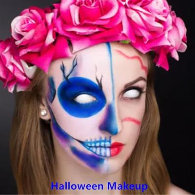 HALLOWEEN ZOMBIE CLOWN MAKEUP KIT FACEPAINT & COLOUR PENCILS CREAM &  APPLICATOR