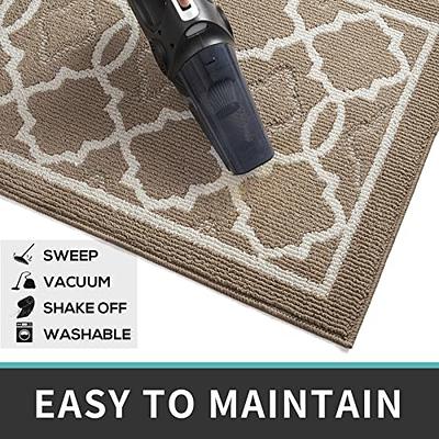 DEXI Indoor Door Mat, 48x32 Non-Slip Low-Profile Entrance Rug