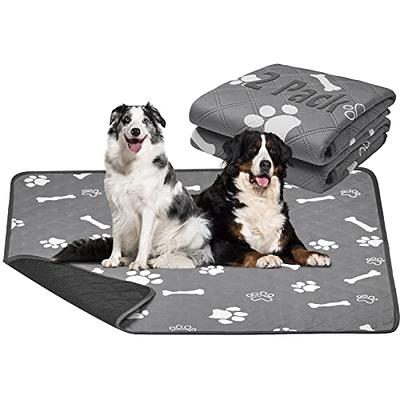 Washable Pee Pads for Dogs, 2- Pack Large 30 x 32 Reusable Dog,Puppy Wee  Wee, Whelping and Training Pad for Home, Apartment, Crate and Travel :  : Pet Supplies