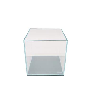 Lifegard Aquatics 5 Gallon Rimless Clear Glass Aquarium 5mm Thick Glass