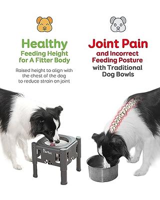 Pawque Slow Feeder Dog Bowls Elevated Dog Food Bowls, Adjustable