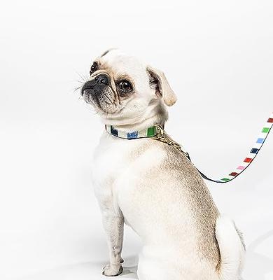  Kate Spade New York Heavy Duty Leash for Female or Male Dogs,  Cute Pet Leash with Gold Metal Hardware, Long Dog Lead for Small Medium  Large Breeds (Large, Adventure Stripe) 