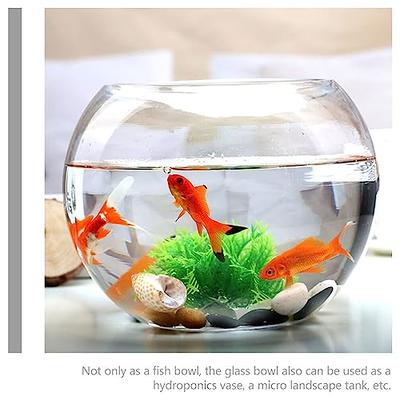 Clear Flower Pot Fish Tank Fish Bowls for Betta Fish Wall Mounted Fish Bowl