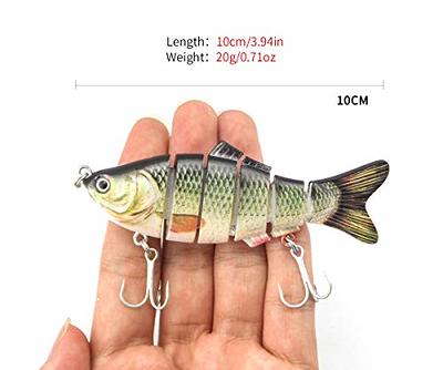  FANTANGLER Fishing Lures for Bass,Lifelike Slow