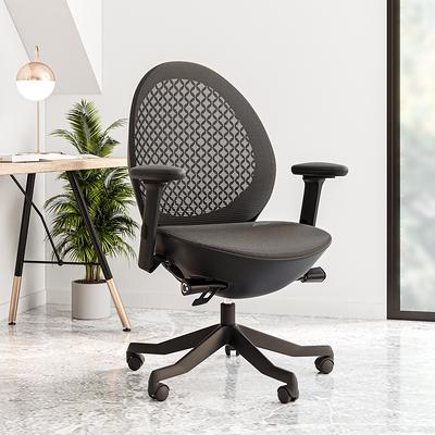 Homrest Ergonomic Executive Office Chair, Massage Office Chair w