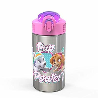 Zak Designs 20oz Stainless Steel Kids' Water Bottle with Antimicrobial  Spout