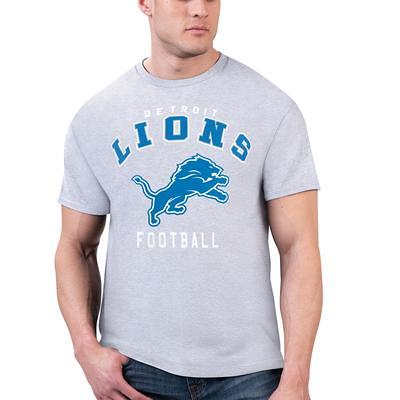 Detroit lions And Detroit Tigers Legend Champion Unisex T-Shirt