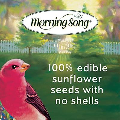 Wagner's 5 lb. Safflower Seed Wild Bird Food