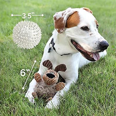 HOLYSTEED Interactive Dog Toy Ball, 4.7 Dog Puzzle Toys, Treat Dispensing  Dog Toys for Large Dogs, Medium Dog and Small Breeds