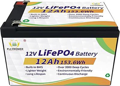 FLLYROWER 12v 100ah Lifepo4 Battery with Grade A Cells and Perfect BMS deep  Cycle Times up to 10000 for trolling Motor RV Camping Solar System Golf