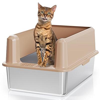  IKITCHEN Stainless Steel Cat Litter Box, Small Low Entry Open  Metal Litter Pan for Arthritic Cats, Litter Basin for Kittens Newborn Cats  Litter Tray 19.5 L x 13.5 W x 4