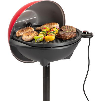 American Outdoor Grill TSeries Barbecue Grill 24NPT00SP