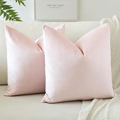 Velvet Throw Pillow With Inserts, Soft Solid Decorative Throw