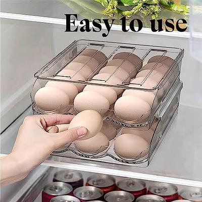 2-Layer Automatic Rolling Egg Holder Storage Box Fridge Egg Container Tray  Rack