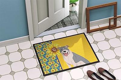 COSY HOMEER Indoor Door Mat Floor Mats Entryway Rug for Home Welcome  Doormat