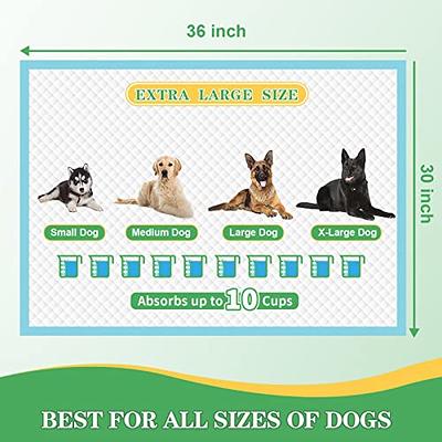 All sizes XX small through large breeds